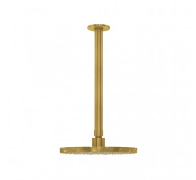 Chuveiro de cabeça Waterrevolution Flow 250 mm com conexão de teto em latão escovado T164225LE