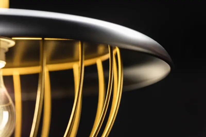 Decor Tulip modern pendant lamp with black metal rim and golden wire cage 3444