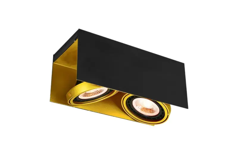 Decor Verso black gold ceiling light with adjustable head 2 bulbs 4212