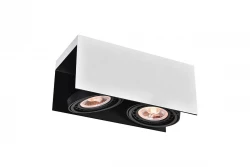 Decoração Verso preto e branco lâmpada de teto com cabeça móvel 2 fontes de luz 4250