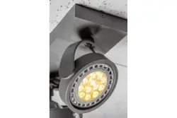 Plafondlamp ou arandel antracite Decor Wally em cabeça móvel com 2 fontes de luz 4304