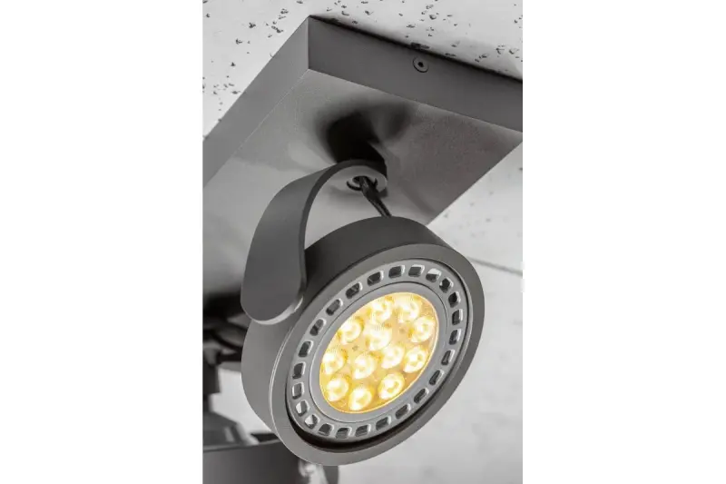 Plafondlamp ou arandel antracite Decor Wally em cabeça móvel com 2 fontes de luz 4304