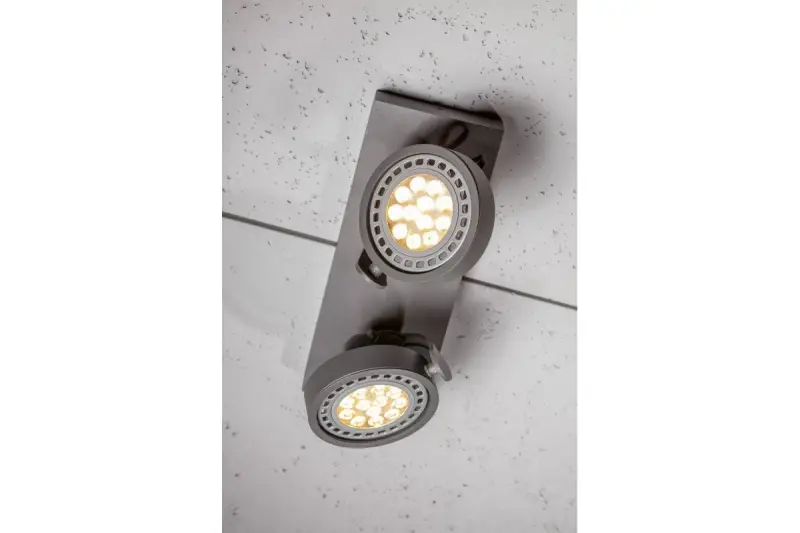 Plafondlamp ou arandel antracite Decor Wally em cabeça móvel com 2 fontes de luz 4304
