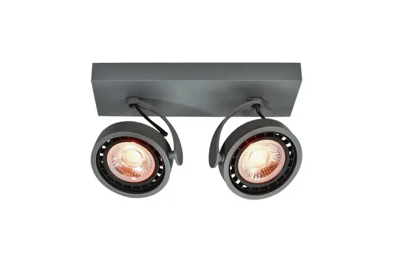 Plafondlamp ou arandel antracite Decor Wally em cabeça móvel com 2 fontes de luz 4304