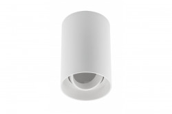 Armatura de Teto Decorativa RESTO PC φ80x125mm IP20 máx 20W redonda branca. 1208963986