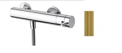 Waterevolution Flow termostato de chuveiro com conjunto de chuveiro redondo Latão Natural T140TNRLE